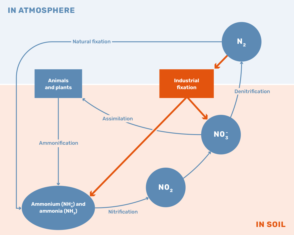 Nitrogen Fertilizer Environmental Impact